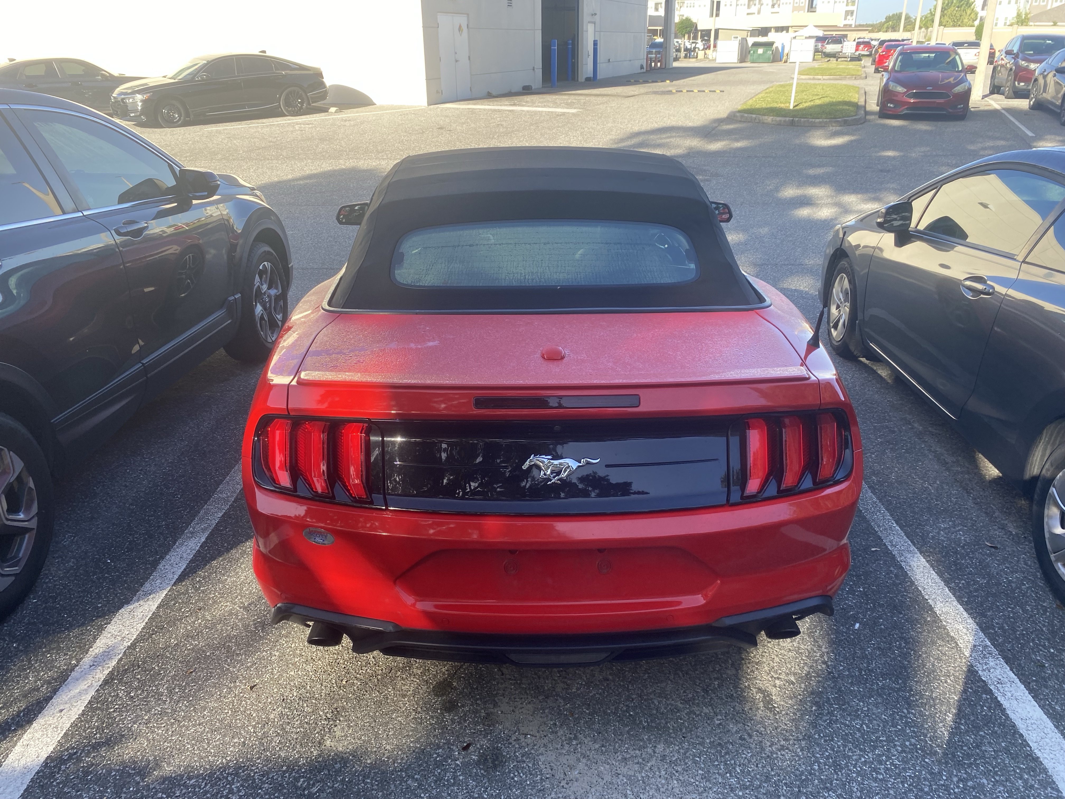 Used 2018 Ford Mustang Premium w/ Equipment Group 201A RWD image 19