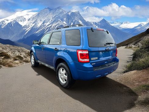 Used 2011 Ford Escape XLT AWD/4WD image 3