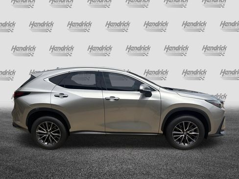 Certified 2025 Lexus NX 250 FWD w/ Cold Area Package image 11