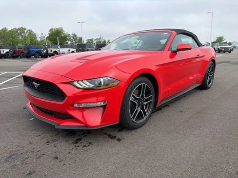 Used 2020 Ford Mustang Premium RWD image 3