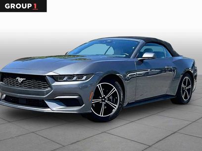 Used 2024 Ford Mustang Premium