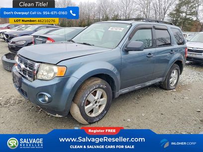 Used 2010 Ford Escape XLT