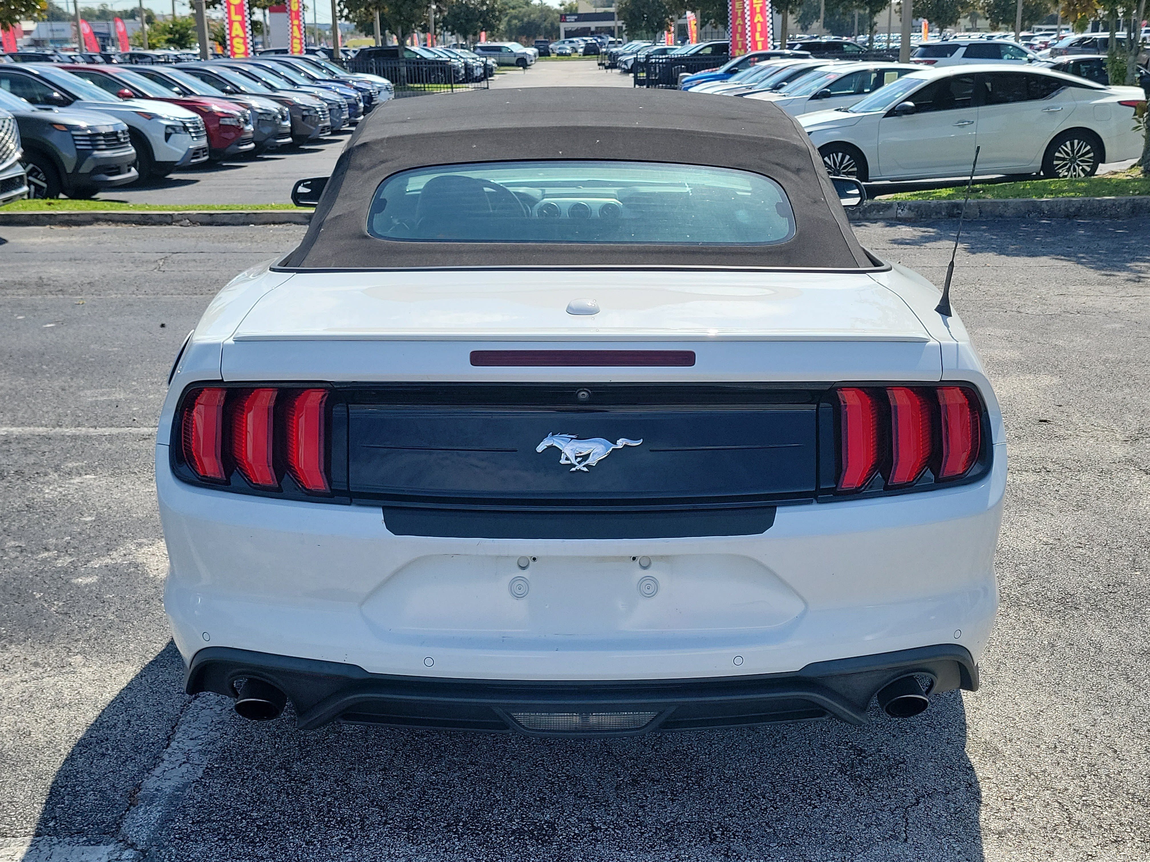 Used 2020 Ford Mustang Premium RWD image 6