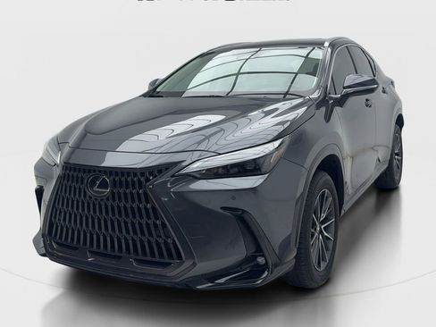Used 2025 Lexus NX 250 FWD w/ Cold Area Package image 4