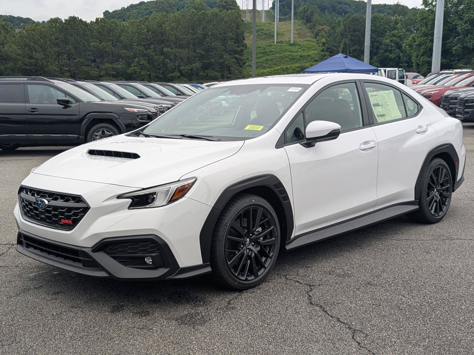 New 2026 Subaru WRX Limited w/ Popular Package #2 AWD/4WD image 3