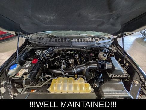Used 2019 Ford F150 XLT w/ Equipment Group 302A Luxury AWD/4WD image 24
