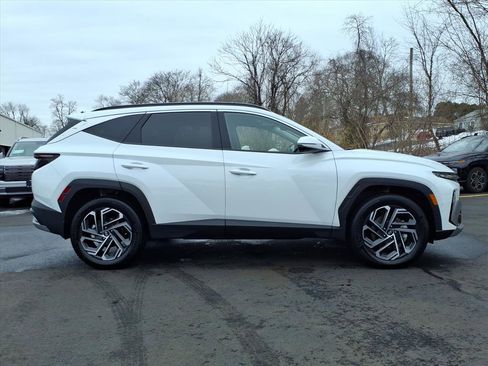 Certified 2026 Hyundai Tucson Limited image 6