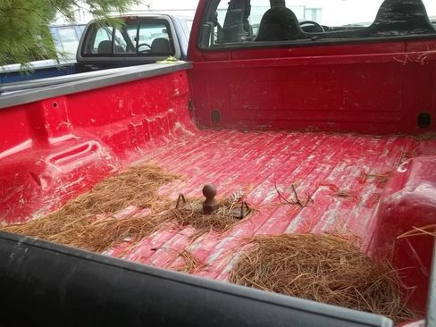 Used 2006 Ford F250 XL image 7