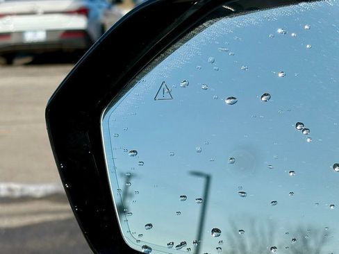 Used 2024 Hyundai Palisade Calligraphy image 8