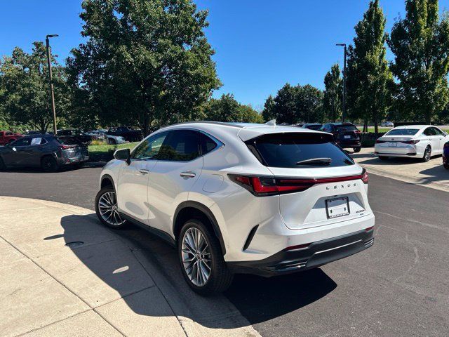 Used 2024 Lexus NX 350h AWD w/ Vision Package image 5