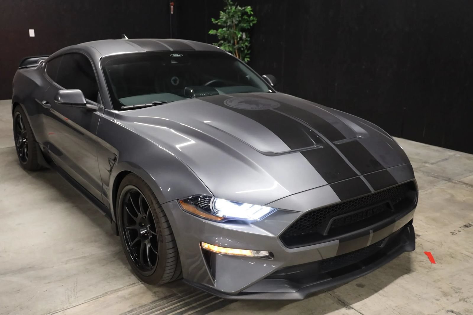 Used 2023 Ford Mustang GT Premium w/ Equipment Group 401A RWD image 1