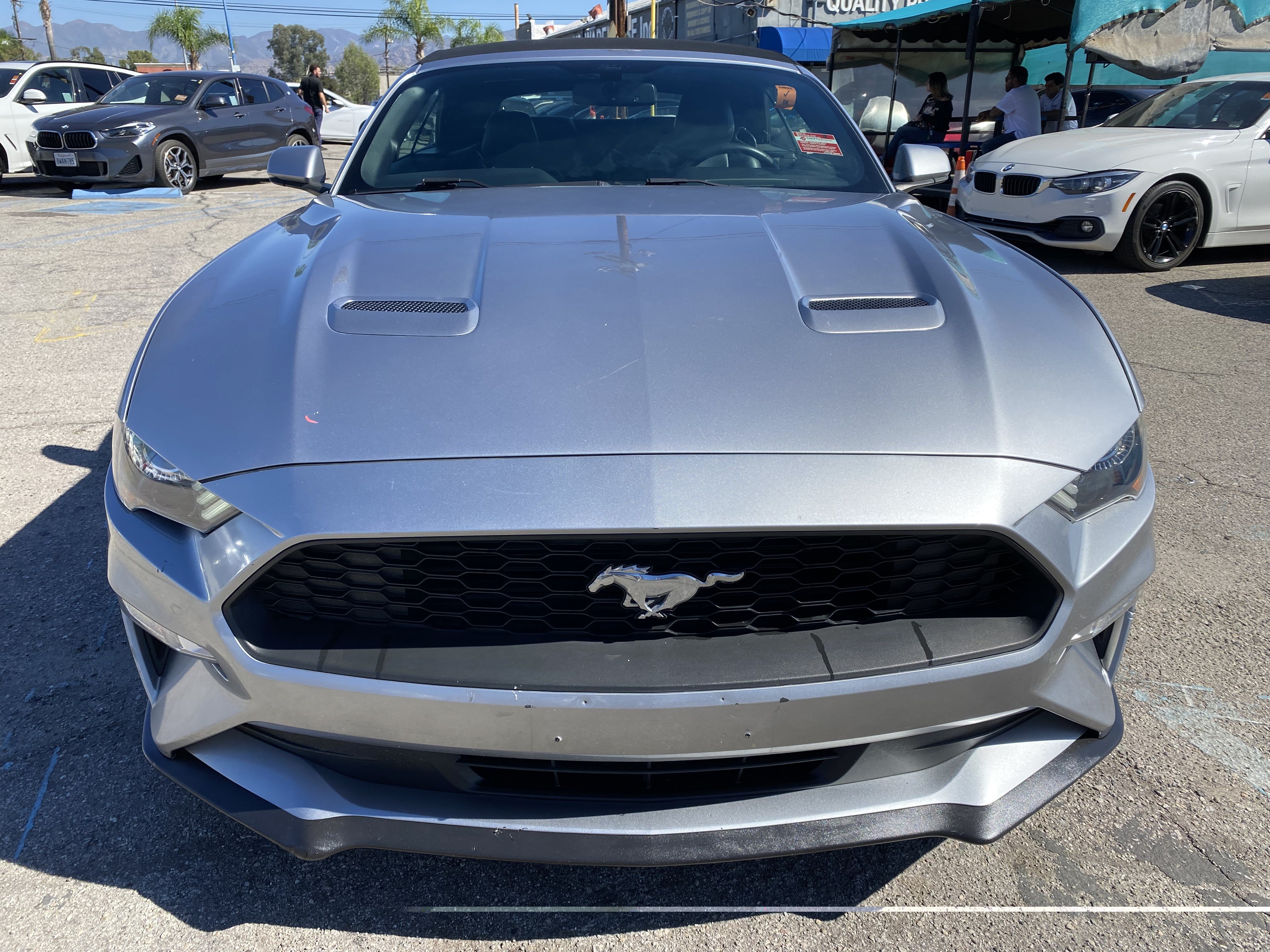 Used 2020 Ford Mustang Premium RWD image 3