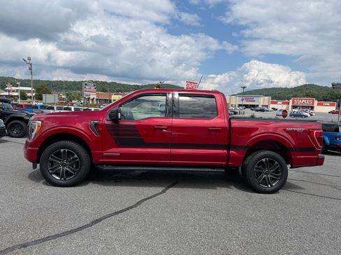 Used 2022 Ford F150 XLT w/ Equipment Group 302A High AWD/4WD image 3