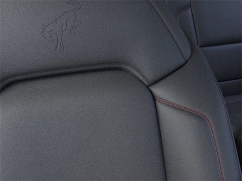 New 2025 Ford Bronco Stroppe Edition image 18