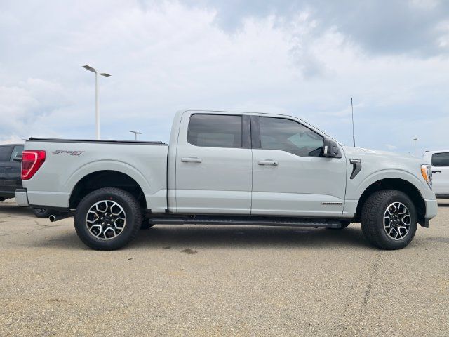 Used 2023 Ford F150 XLT w/ Equipment Group 302A High AWD/4WD image 35