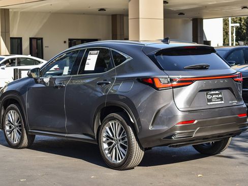 Used 2024 Lexus NX 300h 350h Luxury image 4