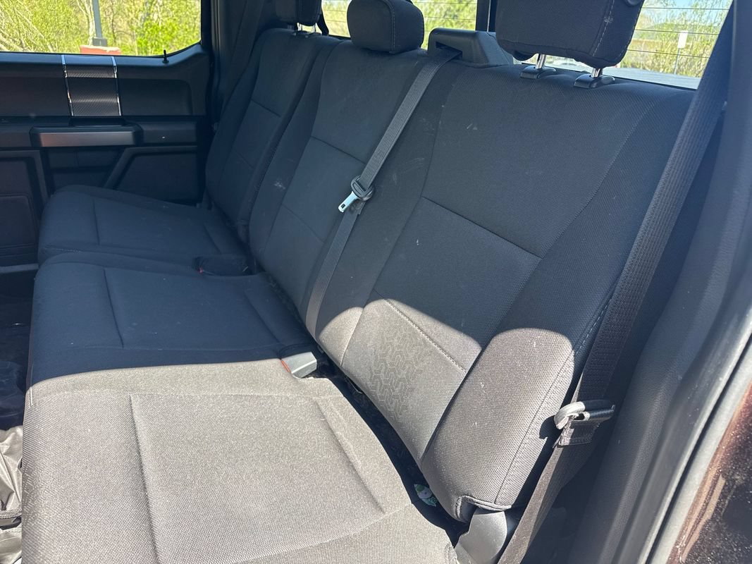 Used 2019 Ford F150 XLT w/ Equipment Group 302A Luxury AWD/4WD image 13
