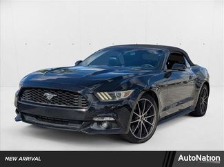 Used 2016 Ford Mustang Premium w/ Equipment Group 201A image 1
