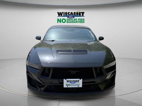 New 2025 Ford Mustang GT Premium w/ Mustang Nite Pony Package RWD image 9