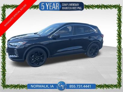 Used 2024 Ford Escape Platinum