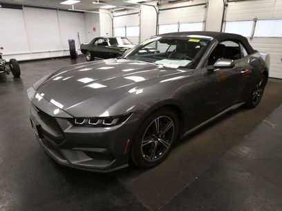 Used 2025 Ford Mustang Premium