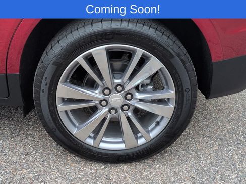 Used 2025 Cadillac XT5 Premium Luxury AWD/4WD image 13