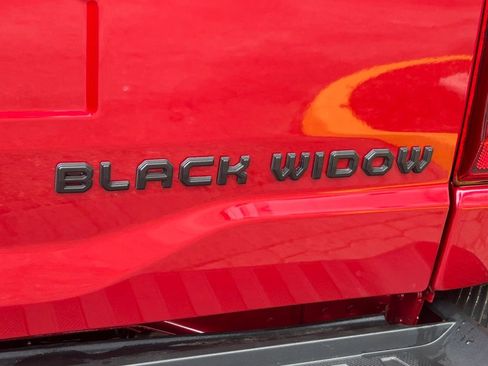 New 2025 Ford F150 XLT w/ Equipment Group 303A High image 22