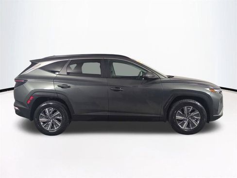 Used 2023 Hyundai Tucson Blue image 4