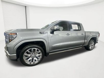 Used 2024 GMC Sierra 1500 Denali w/ Denali Reserve Package
