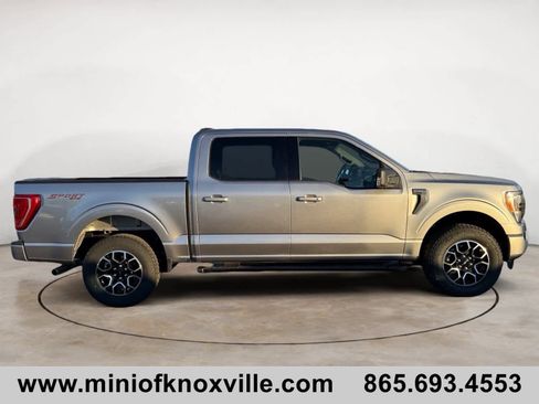 Used 2023 Ford F150 XLT w/ Equipment Group 302A High image 2