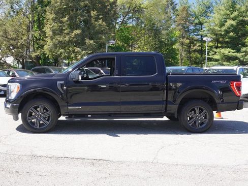 Used 2023 Ford F150 XLT w/ Equipment Group 302A High AWD/4WD image 19