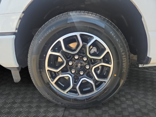 Used 2023 Ford F150 XL w/ STX Appearance Package RWD image 34