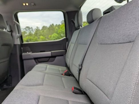 Used 2025 Ford F150 XLT w/ Equipment Group 301A Standard AWD/4WD image 14
