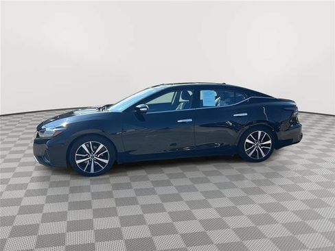 Used 2023 Nissan Maxima SL FWD image 2