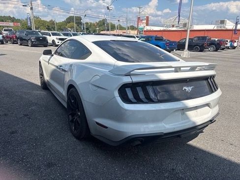 Used 2019 Ford Mustang Premium w/ Ecoboost Performance Package RWD image 6