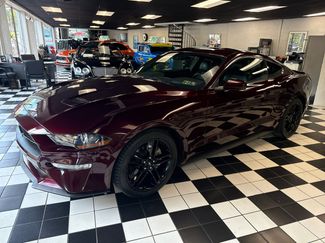 Used 2018 Ford Mustang Premium w/ Equipment Group 201A image 1