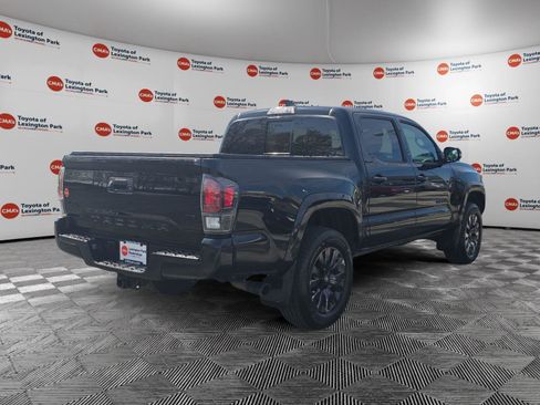 Used 2022 Toyota Tacoma Limited w/ Nightshade Package image 7