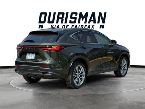 Used 2025 Lexus NX 350h AWD w/ Accessory Package (2T) image 6