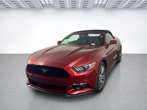 Used 2015 Ford Mustang Premium w/ Equipment Group 201A RWD image 5