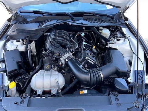 Used 2017 Ford Mustang Convertible w/ Equipment Group 051A RWD image 9