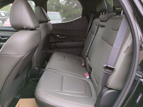 New 2025 Hyundai Santa Cruz Limited image 14