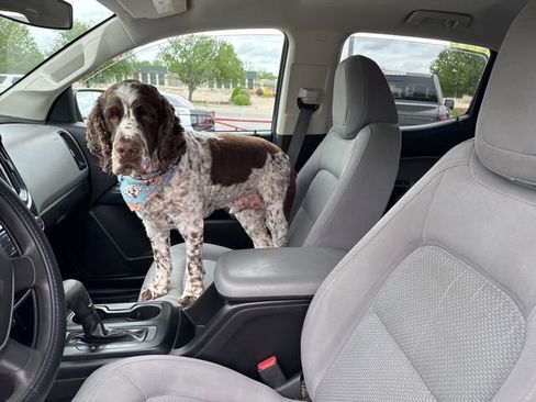 Used 2018 Chevrolet Colorado W/T w/ WT Convenience Package image 30