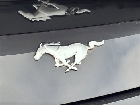 Used 2024 Ford Mustang Premium image 13