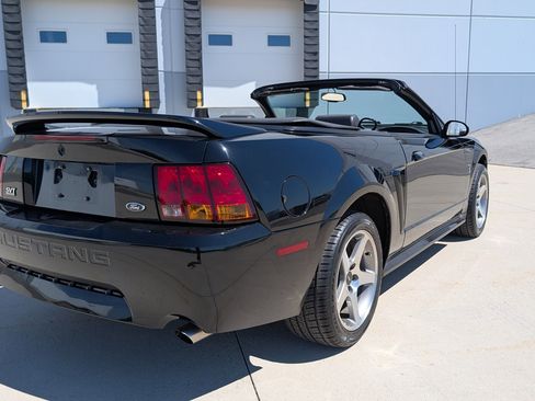Used 1999 Ford Mustang Cobra RWD image 15
