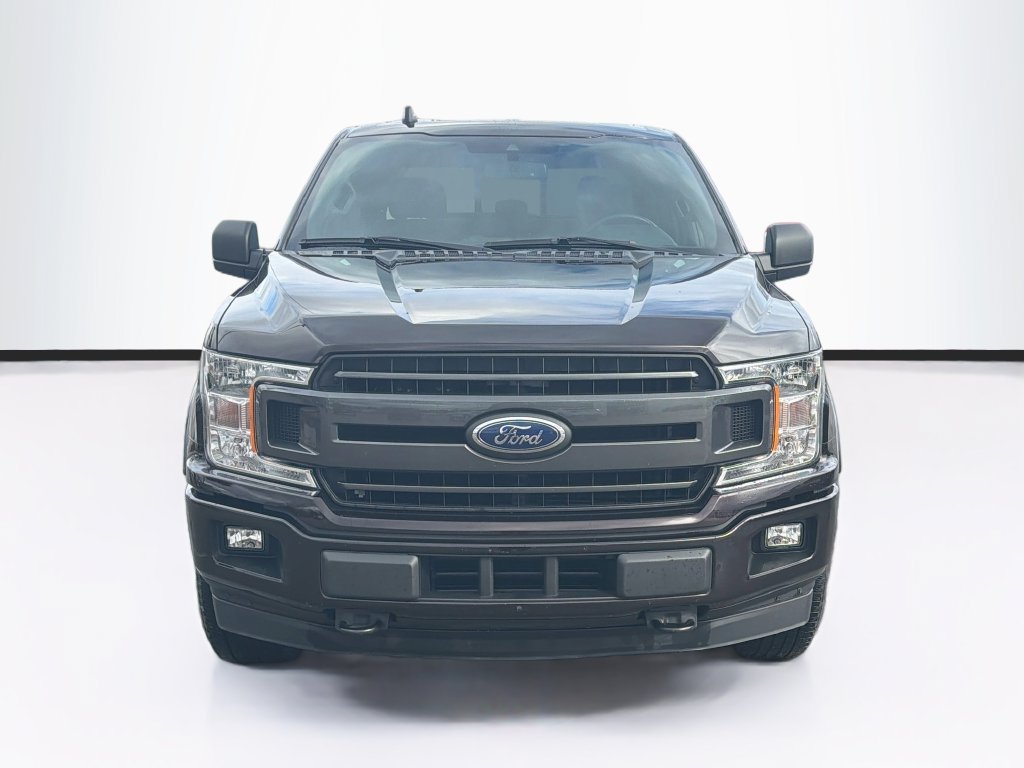 Used 2019 Ford F150 XLT w/ Equipment Group 302A Luxury AWD/4WD image 2