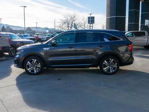 Certified 2024 Kia Sorento SX Prestige image 4