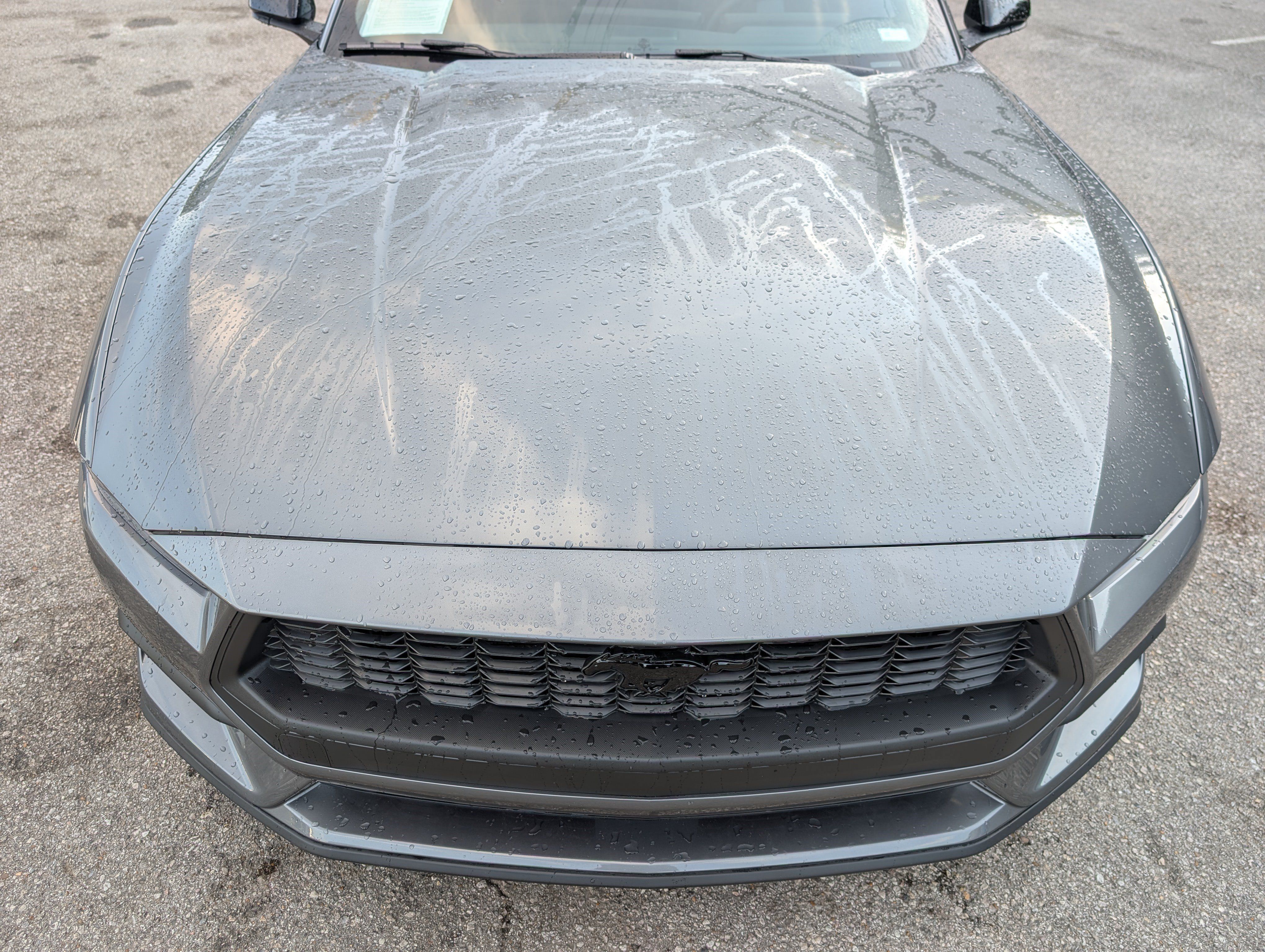 Used 2026 Ford Mustang Coupe w/ Mustang Nite Pony Package RWD image 12