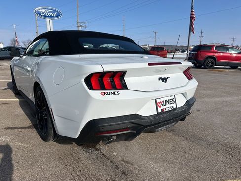 New 2026 Ford Mustang EcoBoost w/ Mustang Nite Pony Package image 10