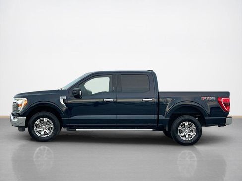 Used 2023 Ford F150 XLT w/ Equipment Group 302A High image 4