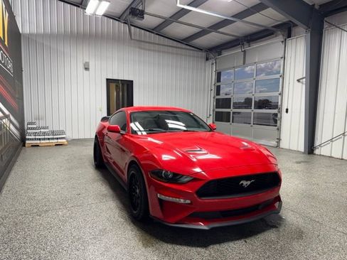 Used 2019 Ford Mustang Premium RWD image 14